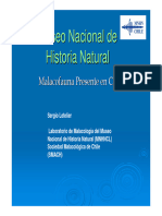 Malacofauna Presente en Chile