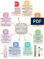 Mapa Conceptual Hematocrito