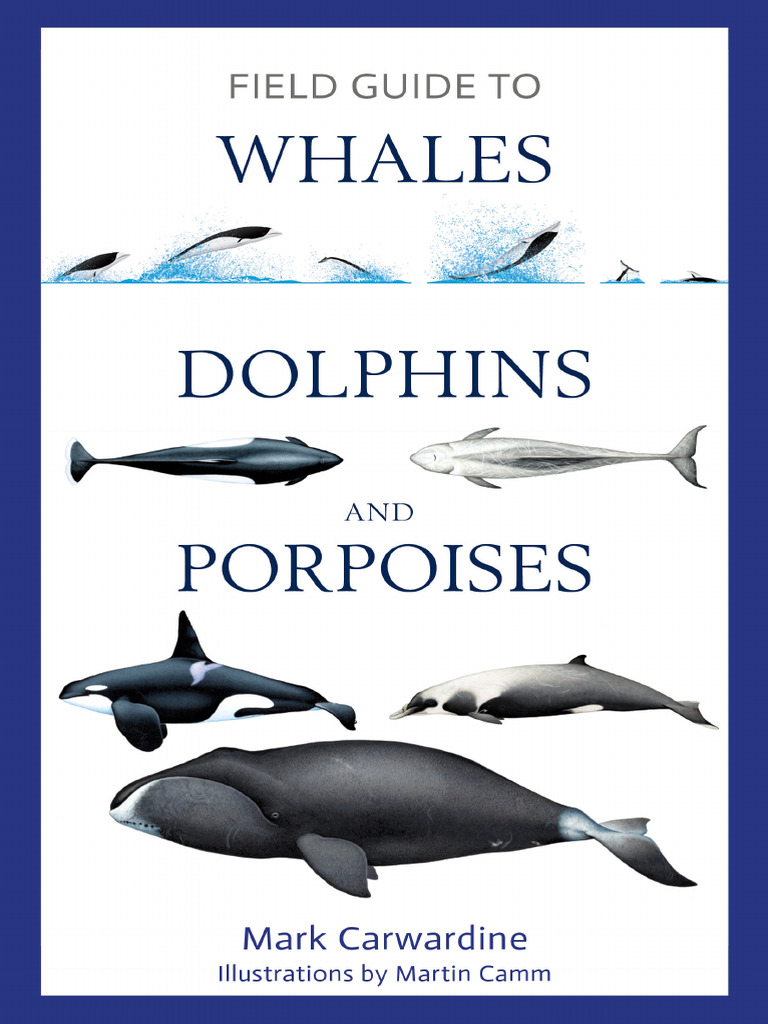 Field Guide To Whales, Dolphins and Porpoises - Mark Carwardine 