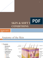 2-Skin Conditions - Burns