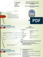 Estructura de Un Informe de La Fiee
