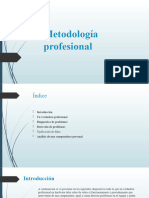 Metodología Profesional