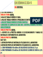 U.C Tareas de La Semana 02 2024-10 Docente Gaby González Duarte