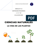 Secuencia Didáctica - Las Plantas - Seres Vivos