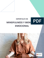 Dossier-Informativo-Experto-en-Mindfulness-y-Bienestar-Emocional
