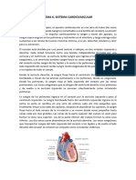 TEMA 6_SISTEMA CARDIOVASCULAR.pdf APUNTES