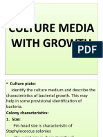 Culture Media With Growth