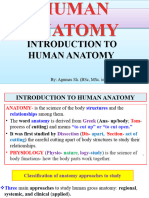 Introduction To Anatomy