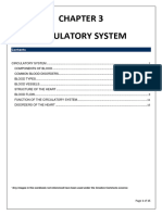 Chapter 3 - Circulatory System