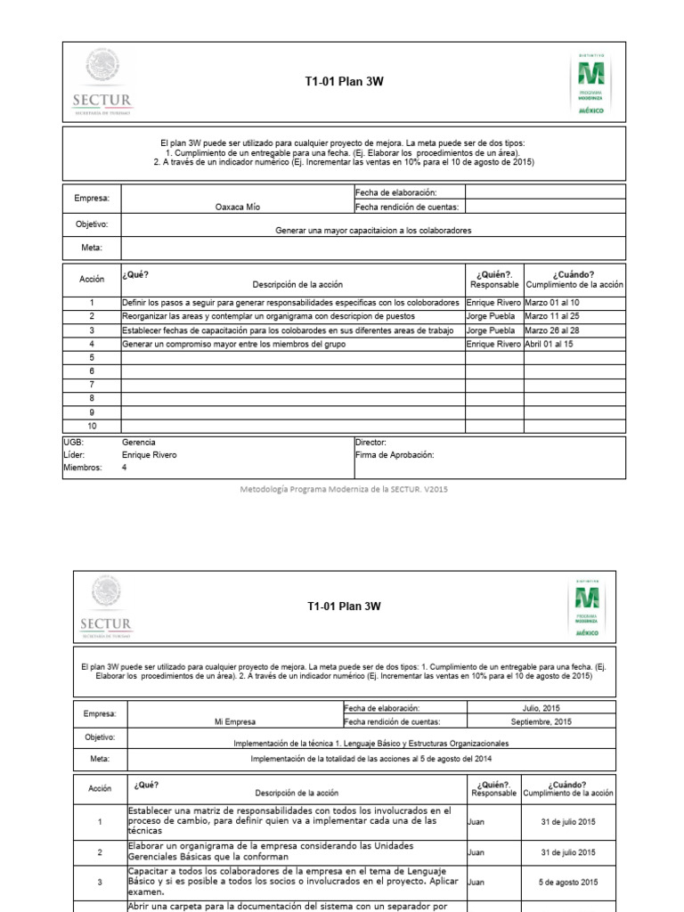 Plan 3W para Capacitación Organizacional | PDF