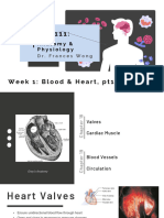 BLG111_Week2_Blood_Heart_2