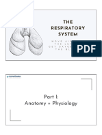 The Respiratory System