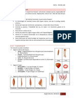 Aparell Locomotor-Músculs