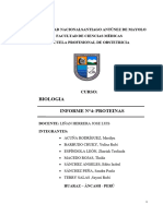 Informe N°04 - Proteinas