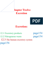 10th Grade Chapter 12 Part 2 (The Human Excretory System)