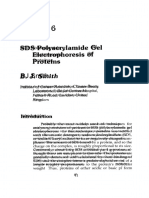 Sds Polyacrylamide Gel Electrophoresis of Proteins