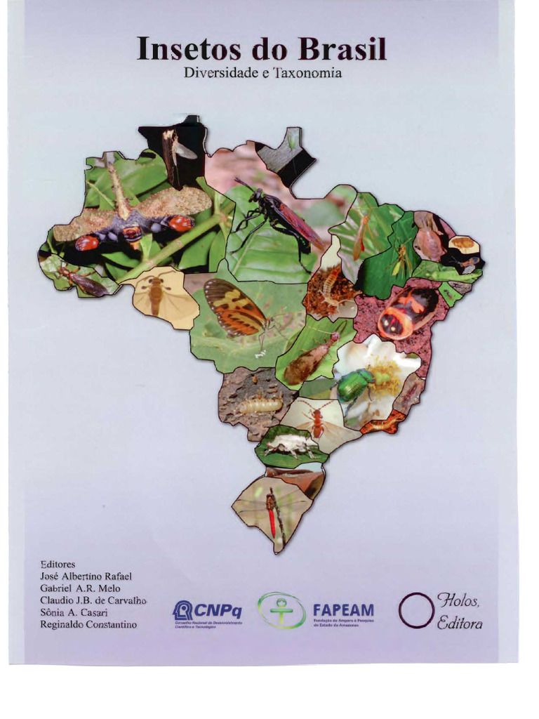 Insetos Do Brasil 1ed | PDF | Mimetismo | Brasil
