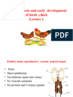 Embryogenesis1 and Early Development of Birds (2) - Copy