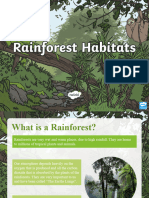 t t 4797 Rainforest Habitat Powerpoint Ver 1