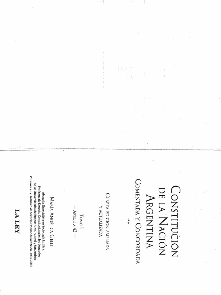 Análisis del Artículo 43 de la Constitución Argentina | PDF | Derecho ...