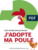 J%27adopte+ma+poule