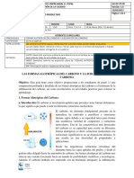 11 Guia Quimica Carbono