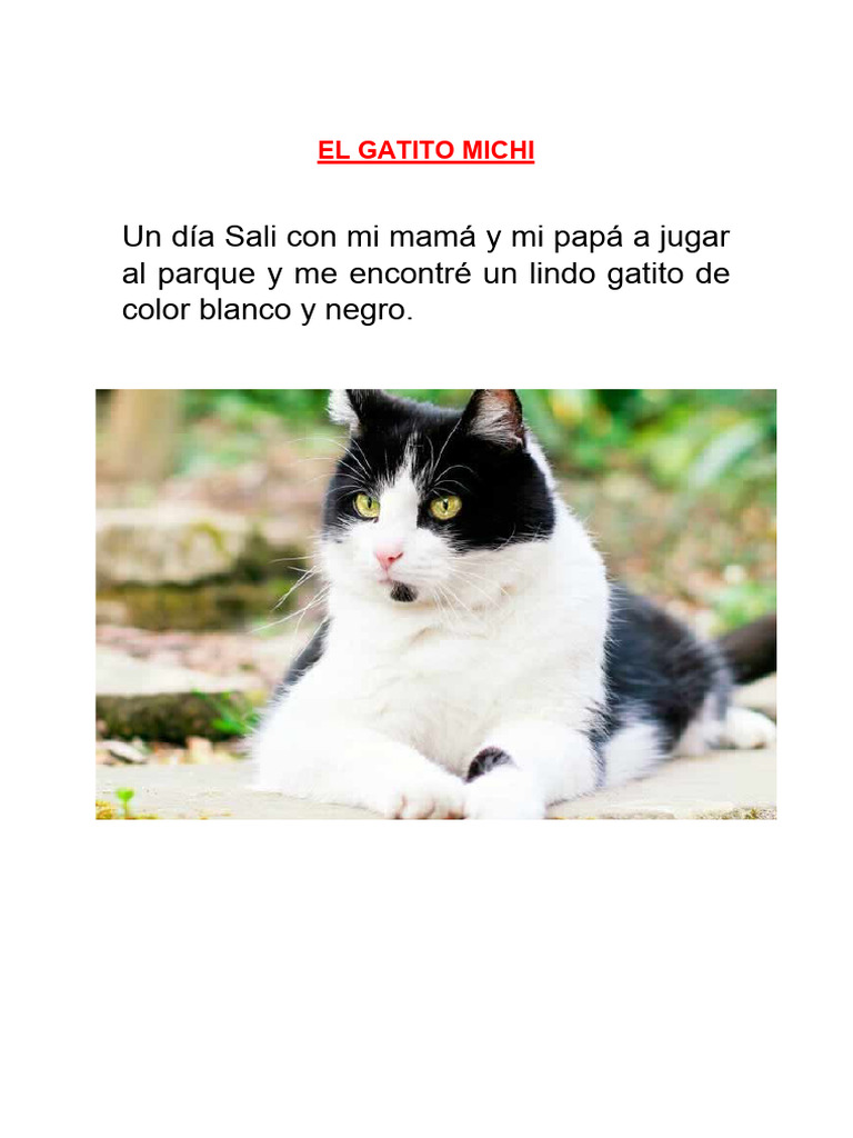 Aventuras con el Gatito Michi | PDF
