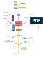 Contextualizacin y Diversificacin Curricular