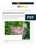 Desmatamento Na Amazônia - Causas e Efeitos - Brasil Escola