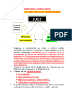 Esquema de Una Audiencia Judicial - Pracica Civil - Utea (1)