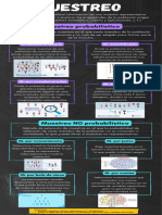 Infografía MUESTREO