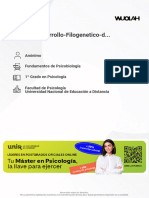 Desarrollo Filogenético Del SN