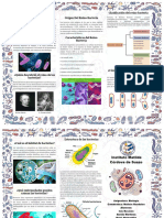 Trifolio Reino Bacteria3