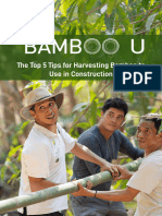 Bamboo Harvesting Tips