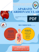 AP. Cardiovascular