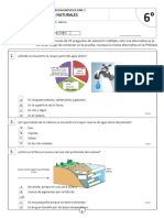 Diagnóstico Ciencias 6ª Básico