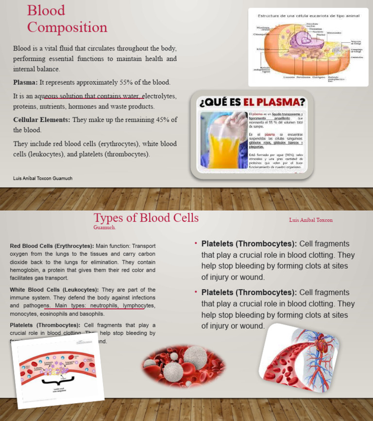 Blood intelligence overview
