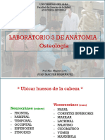 Lab 3 Osteologia