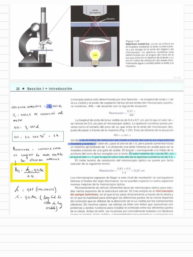Microscopia 240205 122419 | PDF