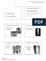  Introducción a la Anatomía pulpar y Accesos endodónticos (21-1)