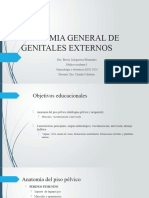 Anatomia General de Genitales Externos