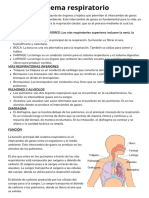 Sistema respiratorio_20231025_163523_0000