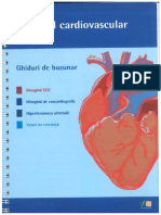 Sistemul Cardiovascular Ghiduri de Buzunar