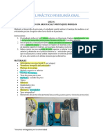 Guía 4 - Montaje en Articulador