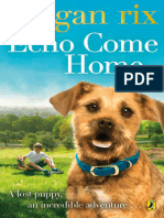 Echo-Come-Home