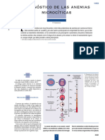 2001. Cassasus. Diagnóstico de las anemias microcíticas