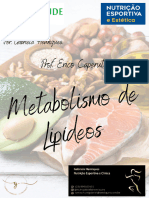 Metabolismo de Lipídeos PDF