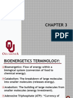CH 3 - Bioenergetics