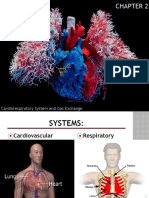 CH 2 - Cardiorespiratory System and Gas Exchange