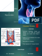 Tiroides Hiper e Hipotiroidismo 28-08-2023